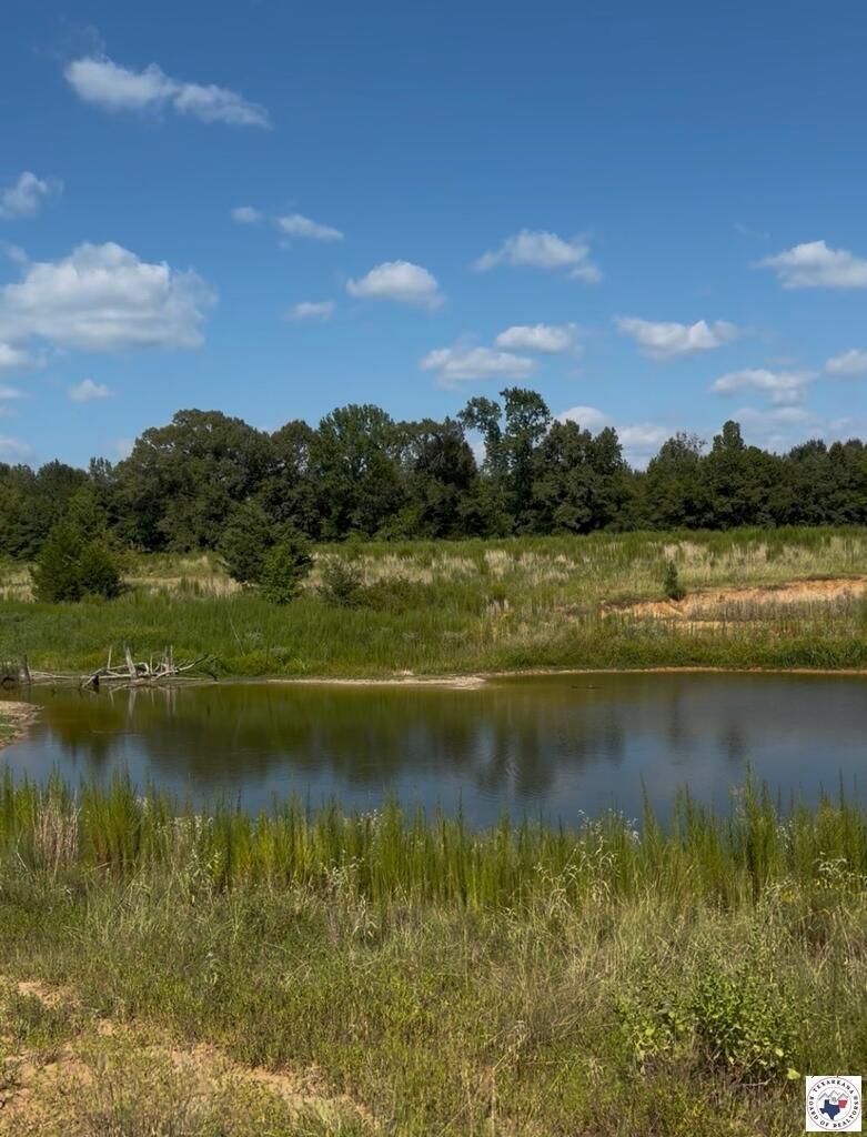 243 County Road 2513, Naples, TX for Sale