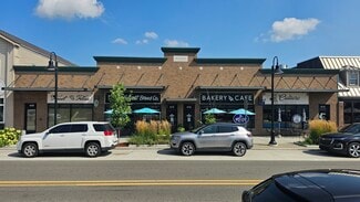 Brighton, MI Retail - 411 Mill Pond Ln
