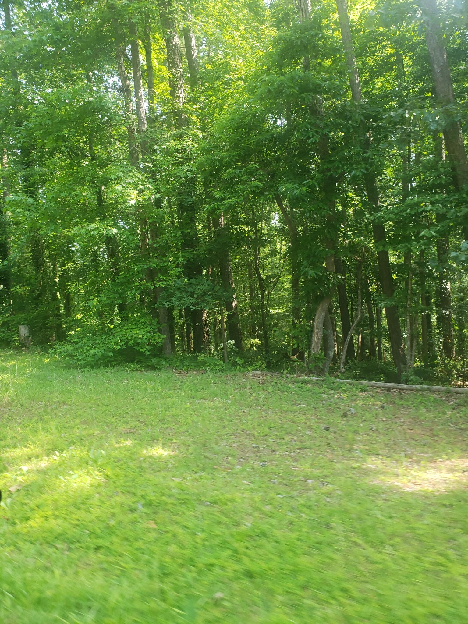 694 Pine Needle, Hampton, GA for Sale