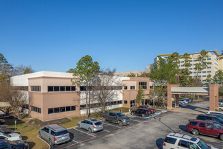 The Woodlands, TX Office/Medical - 1011 Medical Plaza