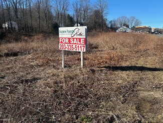 Newtown, CT Commercial Land - 288 S Main St