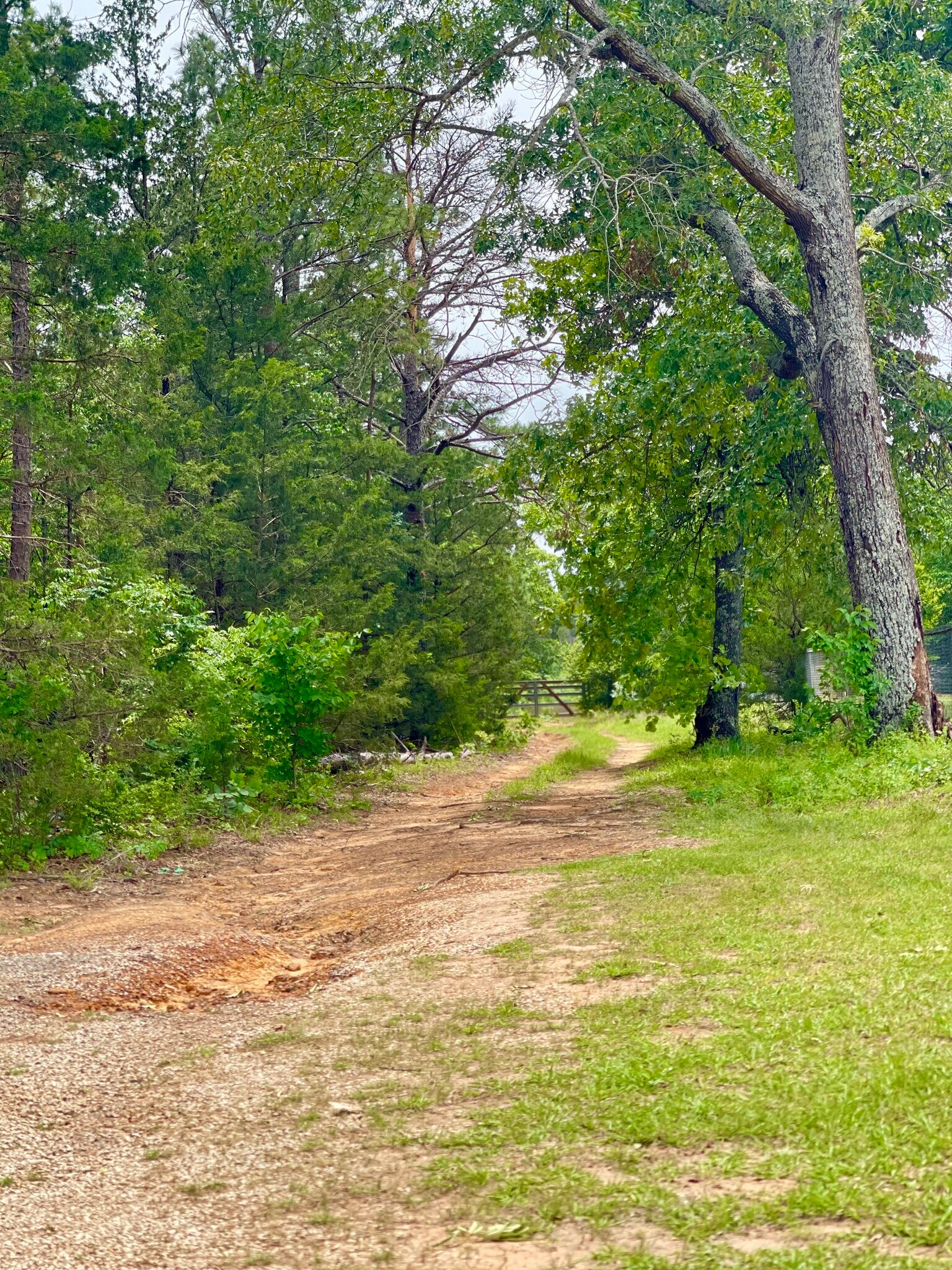 TBD County Road 336, Tyler, TX for Sale