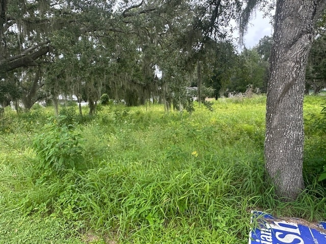0 Bloomingdale Ave & Hurley Rd, Valrico, FL for Sale