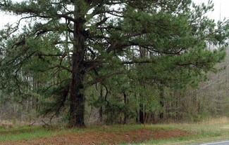 Hensley, AR Industrial Land - 20400 Highway 365 S Hensley, AR Industrial Land - 20400 Highway 365 S