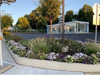 Elmont, NY Auto Dealership - 24102 Linden Blvd