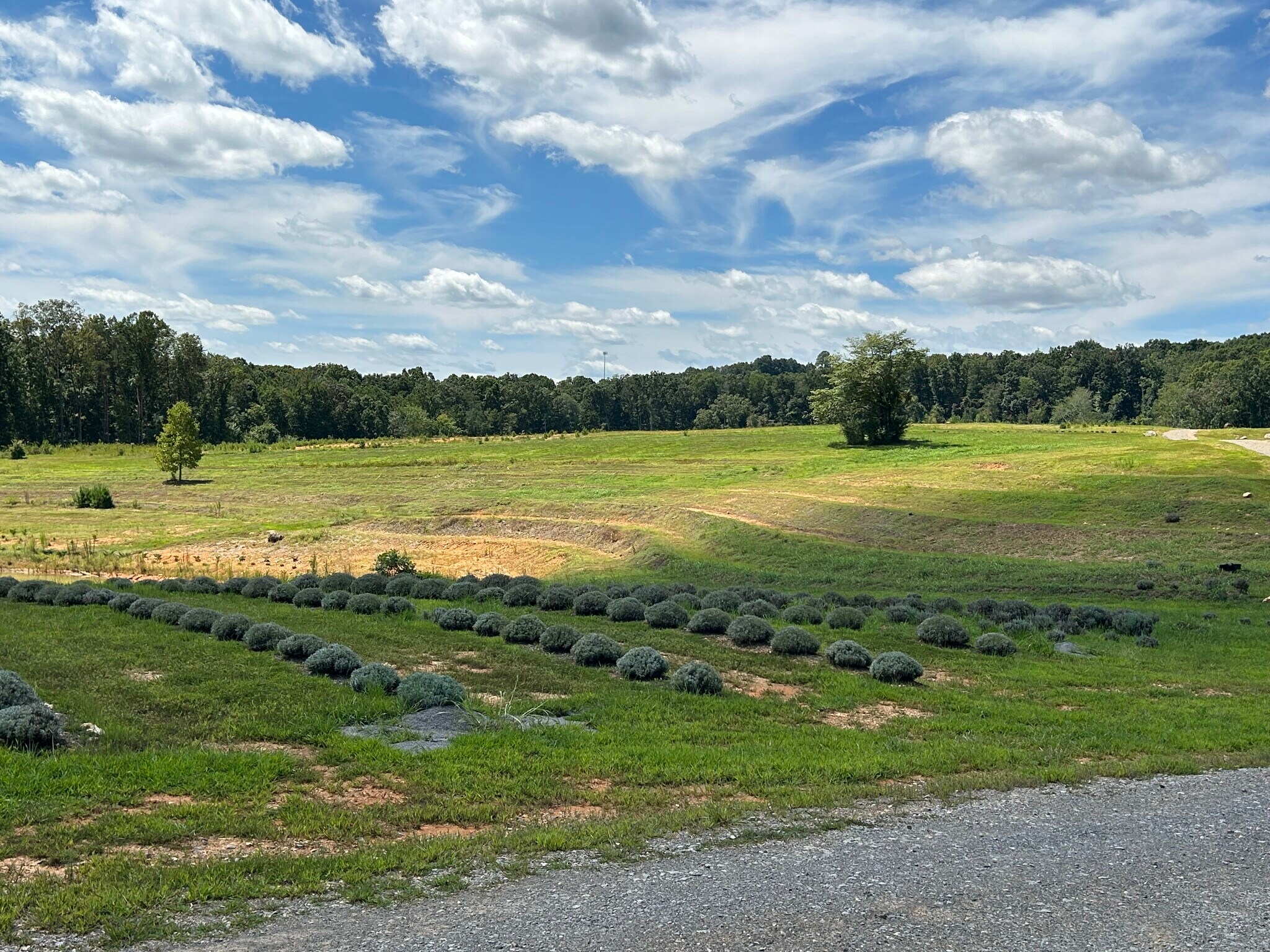 361 County Road 170, Athens, TN for Sale