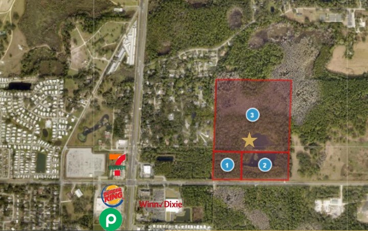 E County Road 44, Eustis, FL for Sale