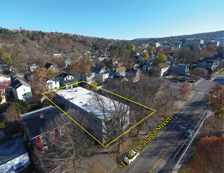 Ithaca, NY Flex - 511-513 N Cayuga St