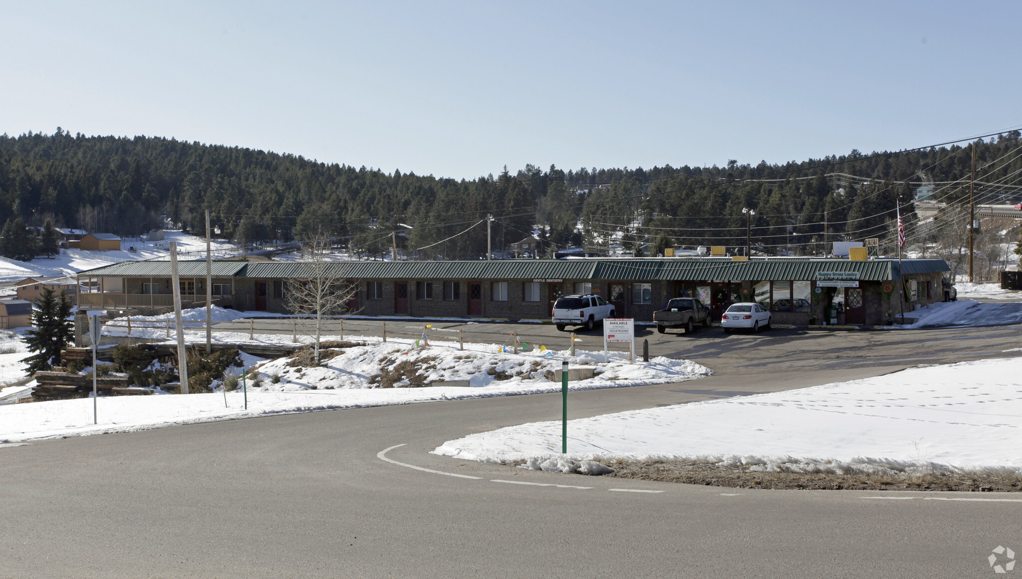 11873 Springs Rd, Conifer, CO for Rent