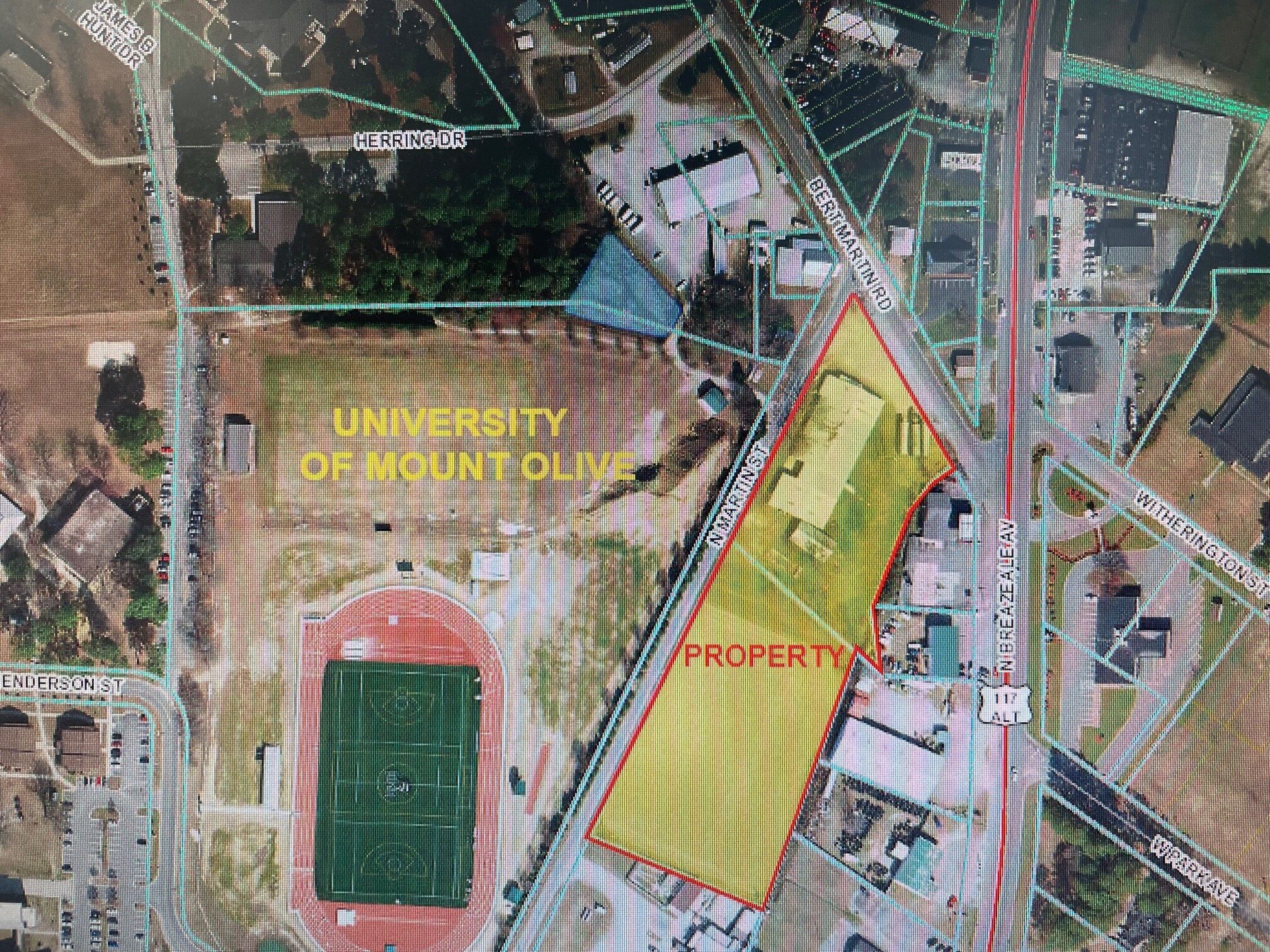 Bert Martin Rd and North Martin St @ North Martin St, Mount Olive, NC for Sale