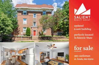 Saint Louis, MO undefined - 3911 Castleman Ave