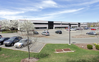 Morris Plains, NJ Office, Flex - 100 American Rd