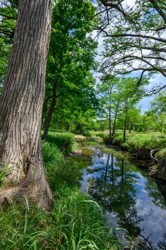 Center Point, TX Agricultural - 114 Bledsoe Ranch Road