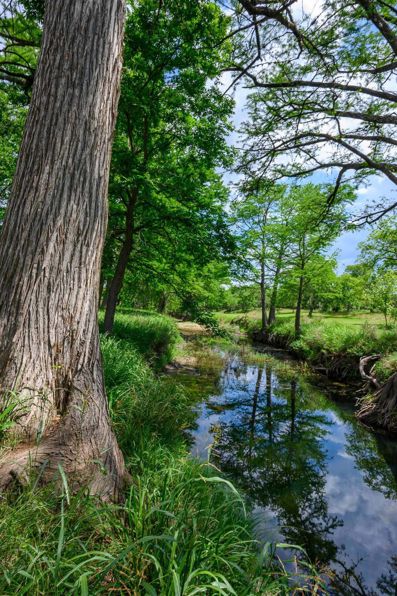 114 Bledsoe Ranch Road, Center Point, TX for Sale