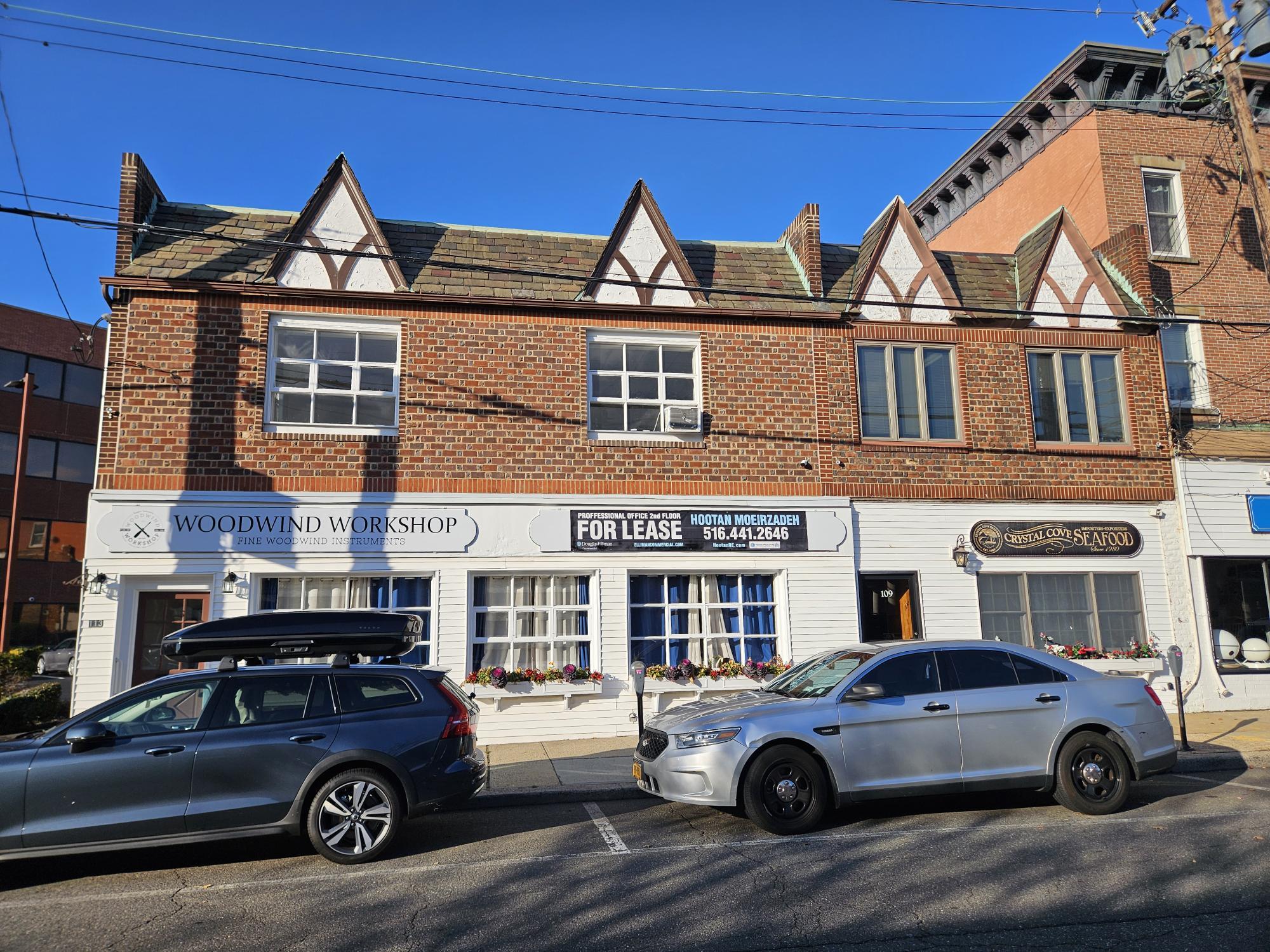 111-113 S Tyson Ave, Floral Park, NY for Rent