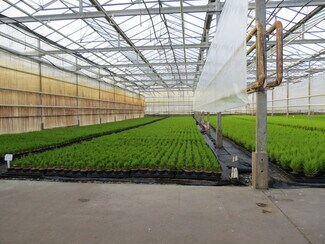 Chilliwack, BC Agricultural - 50284 Yale