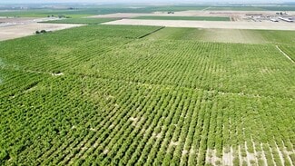 Caruthers, CA Agricultural - 9495 W Kamm Ave @ S Westlawn Ave