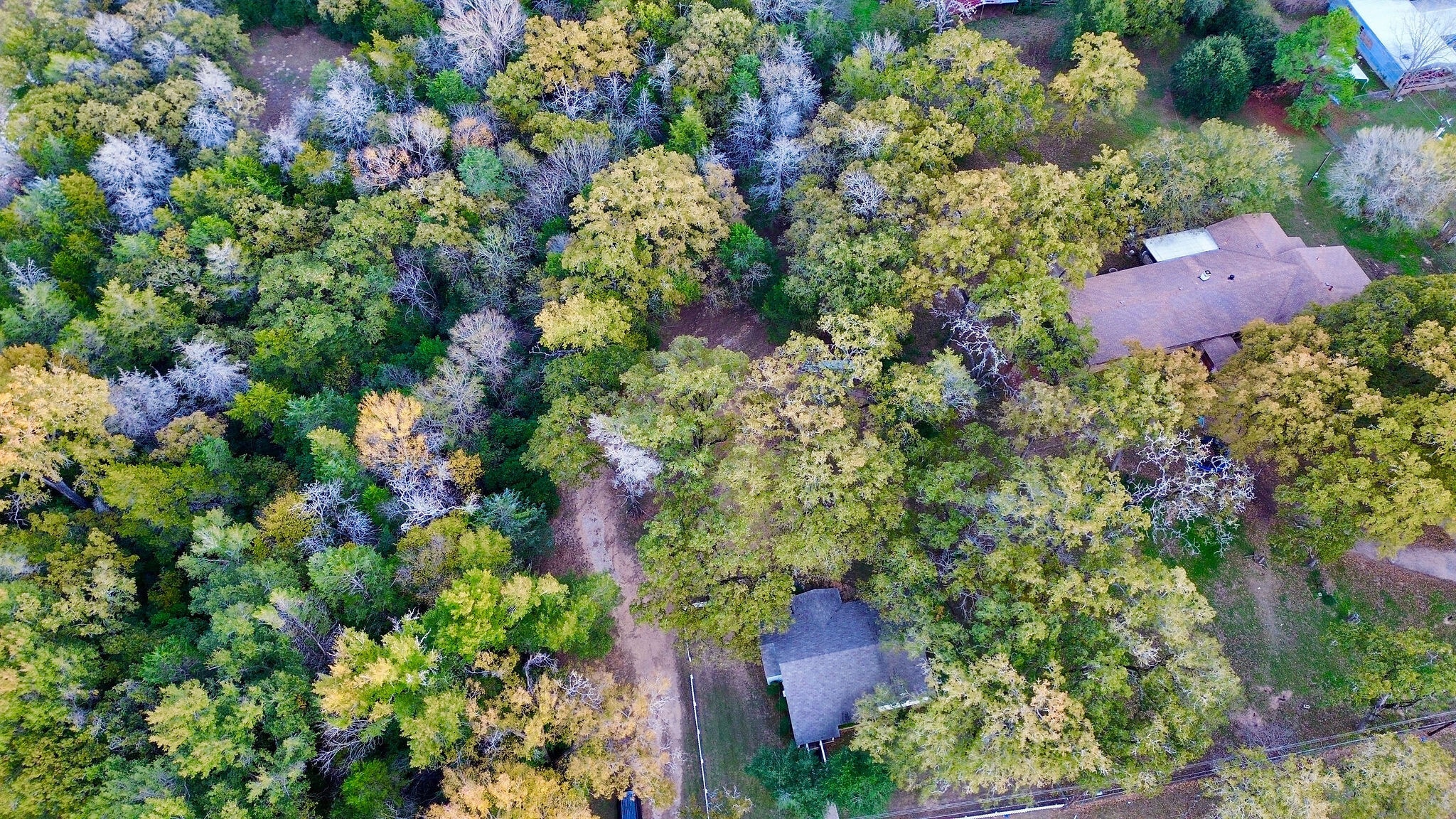 9278 N Highway 77, Lexington, TX for Sale