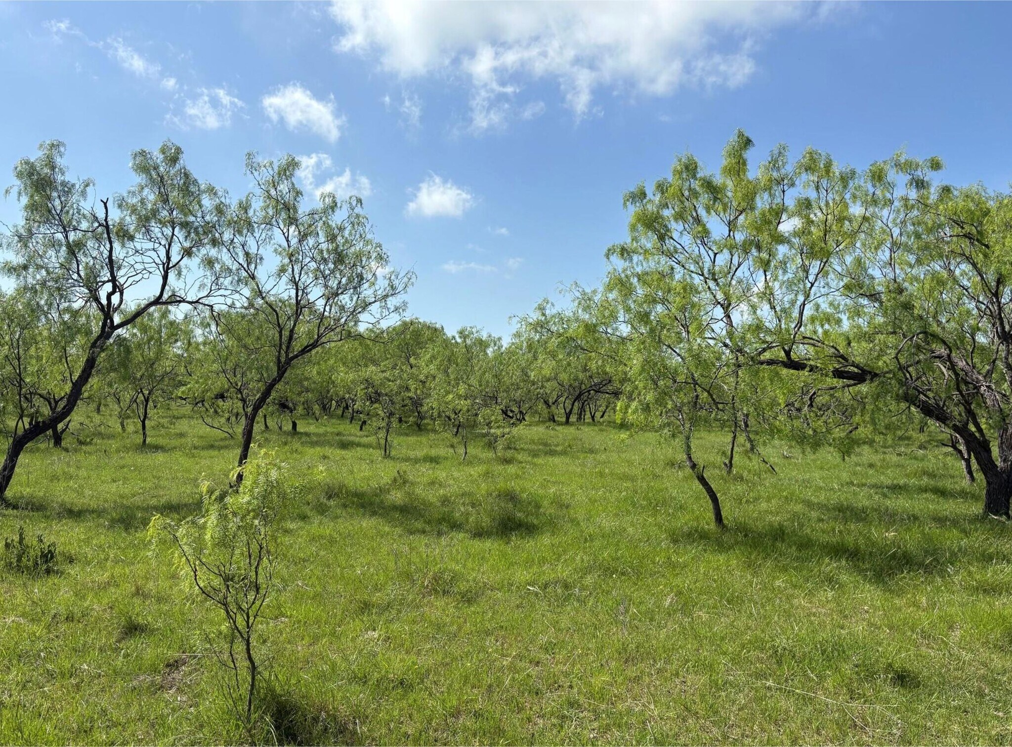 tbd 00 NW C R 4160, Frost, TX for Sale