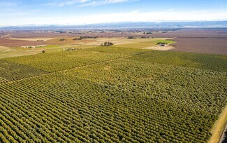 Corning, CA Agricultural - Gyle Rd @ Rawson Rd