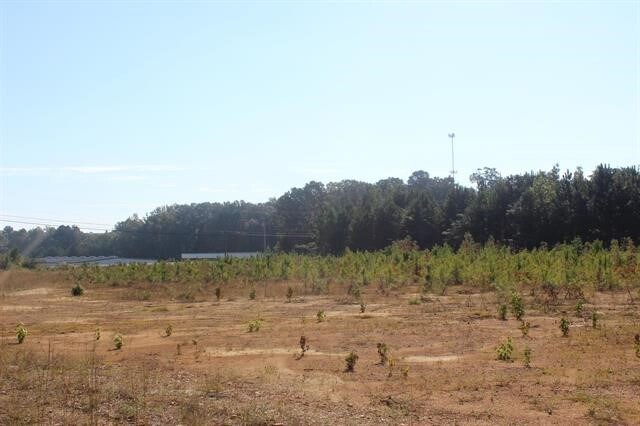 8861 U S Highway 31, Hanceville, AL for Sale