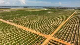 Babson Park, FL Agricultural - 443 Libby Rd