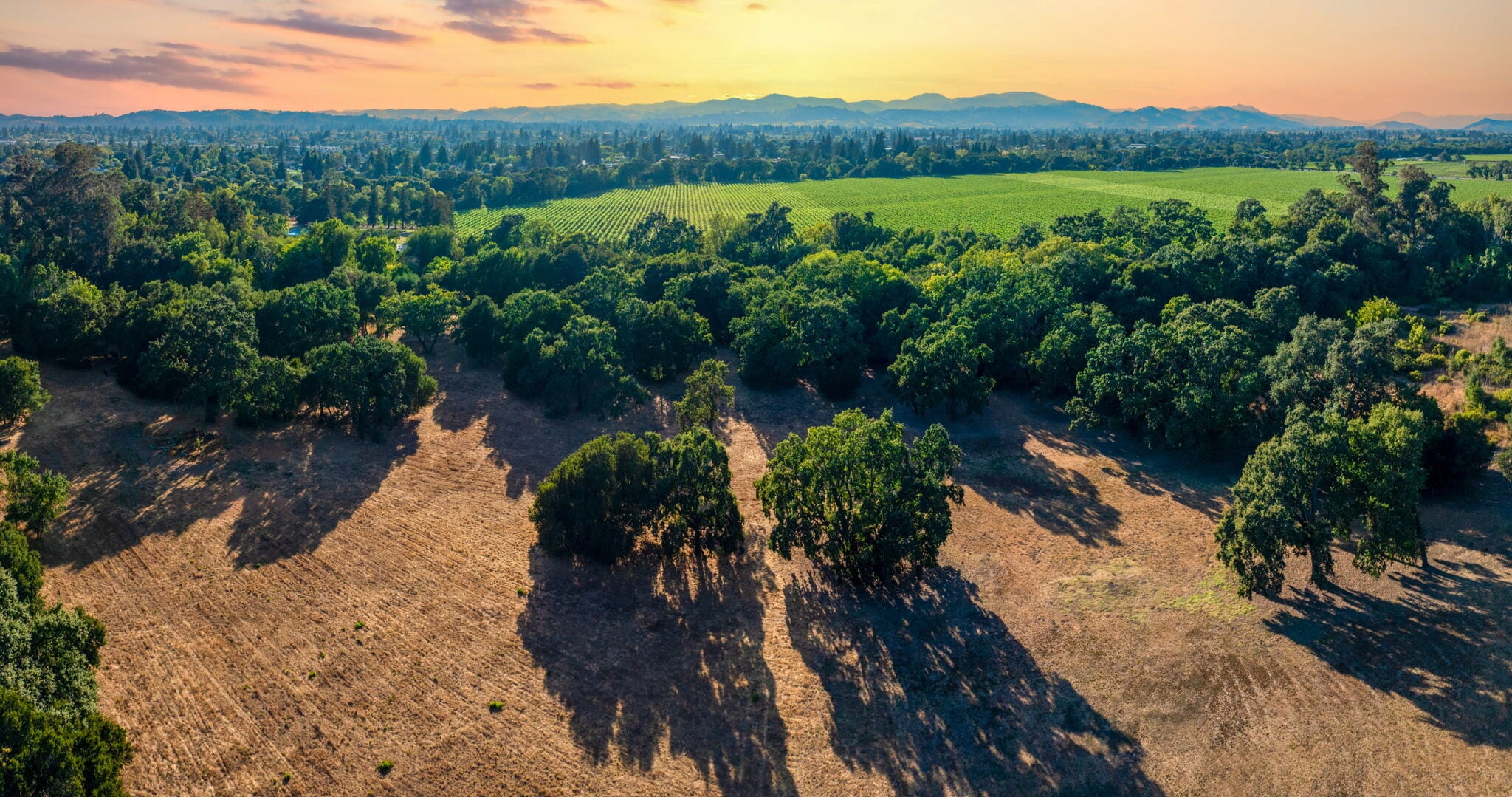 1866 Silverado Trl, Napa, CA for Sale