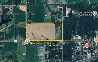Magnolia Springs, AL Commercial - 14251 US 98 hwy