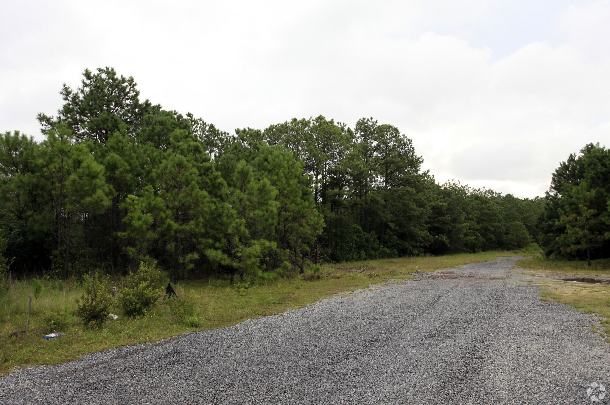 Forrest Dr @ Clements Ferry Road, Charleston, SC for Sale