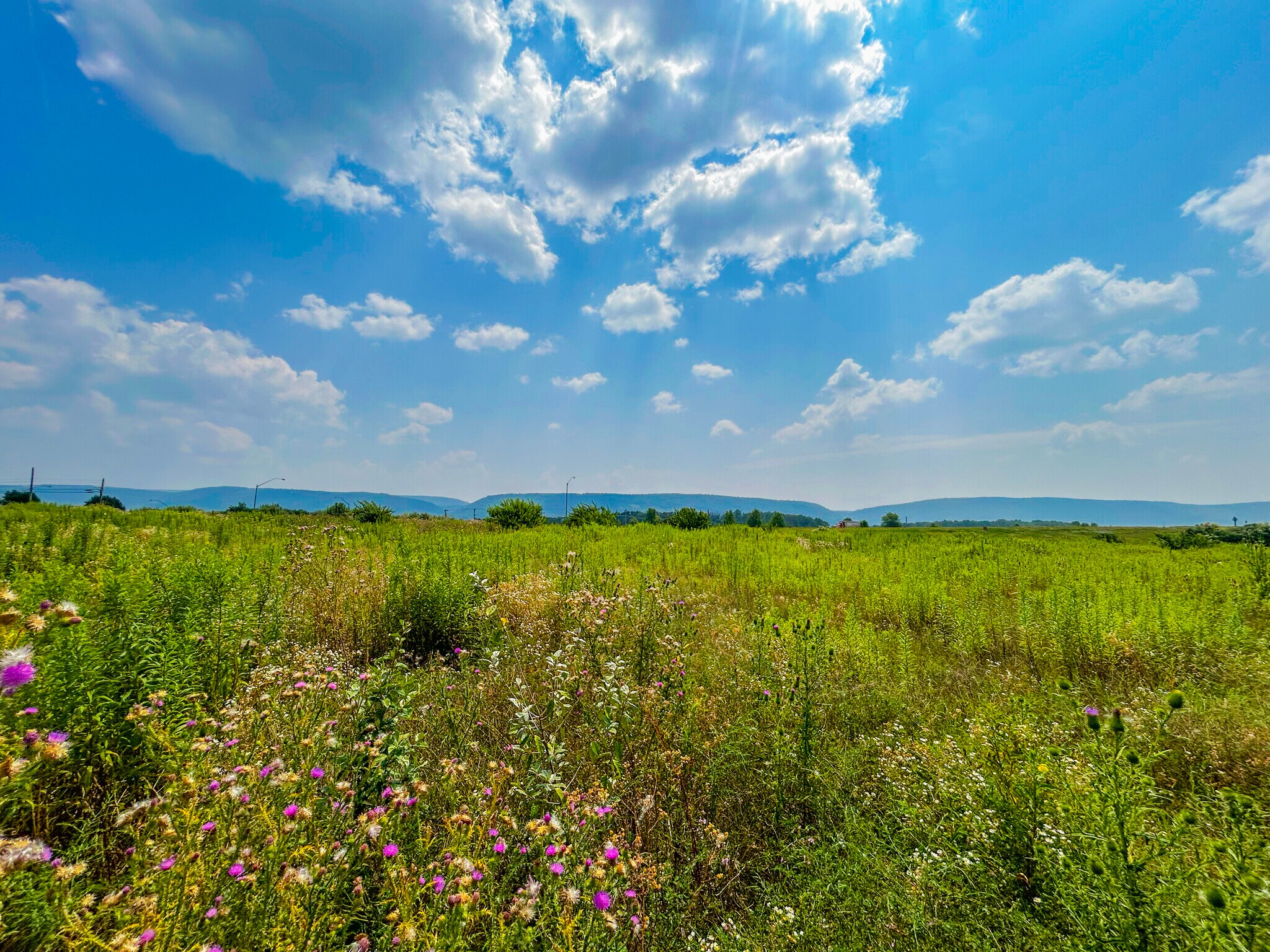 Venture Dr, Bellefonte, PA for Rent