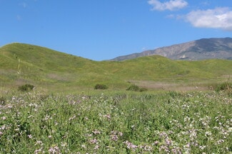 Santa Paula, CA Agricultural - 0 Dickenson Rd