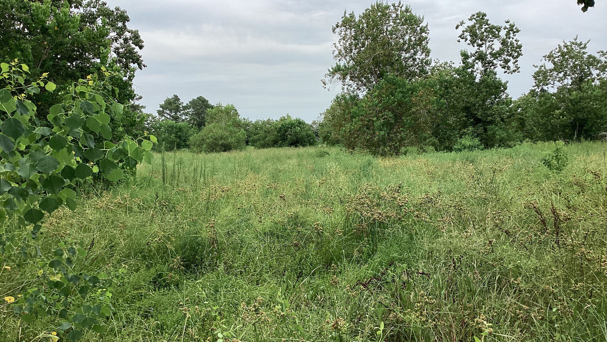 0 County Road 758, Rosharon, TX for Sale