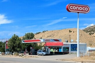 Dinosaur Retail Package
