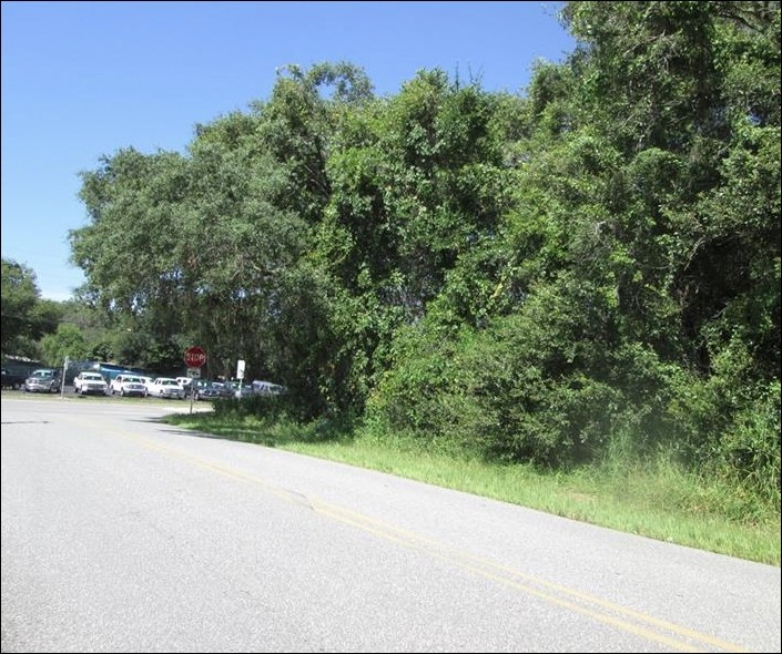 Hwy 50 & American Legion Rd, Mascotte, FL for Sale