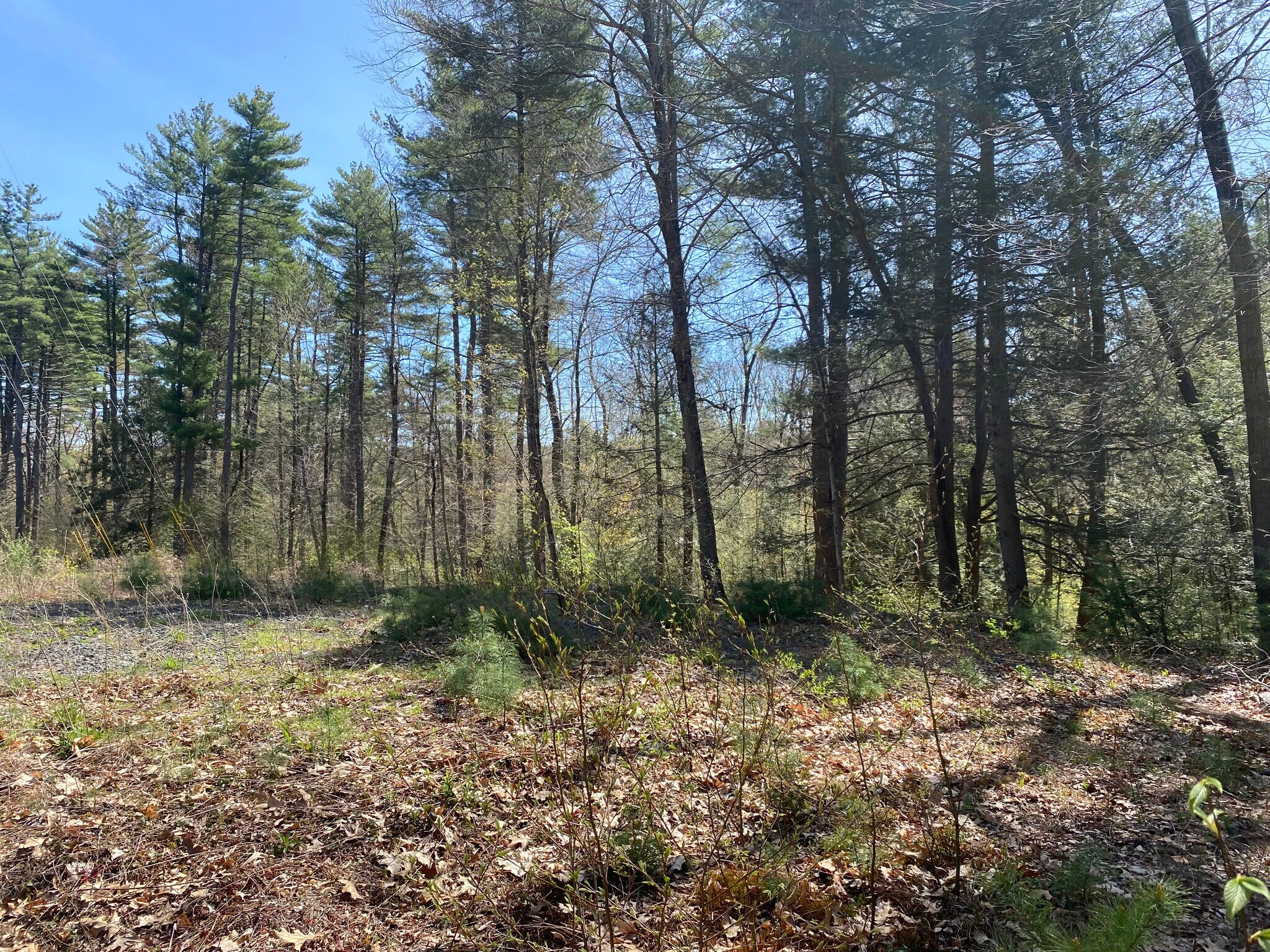 100 Pequot Rd, Southampton, MA for Sale