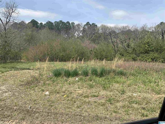 314 Anniston St, Weaver, AL for Sale