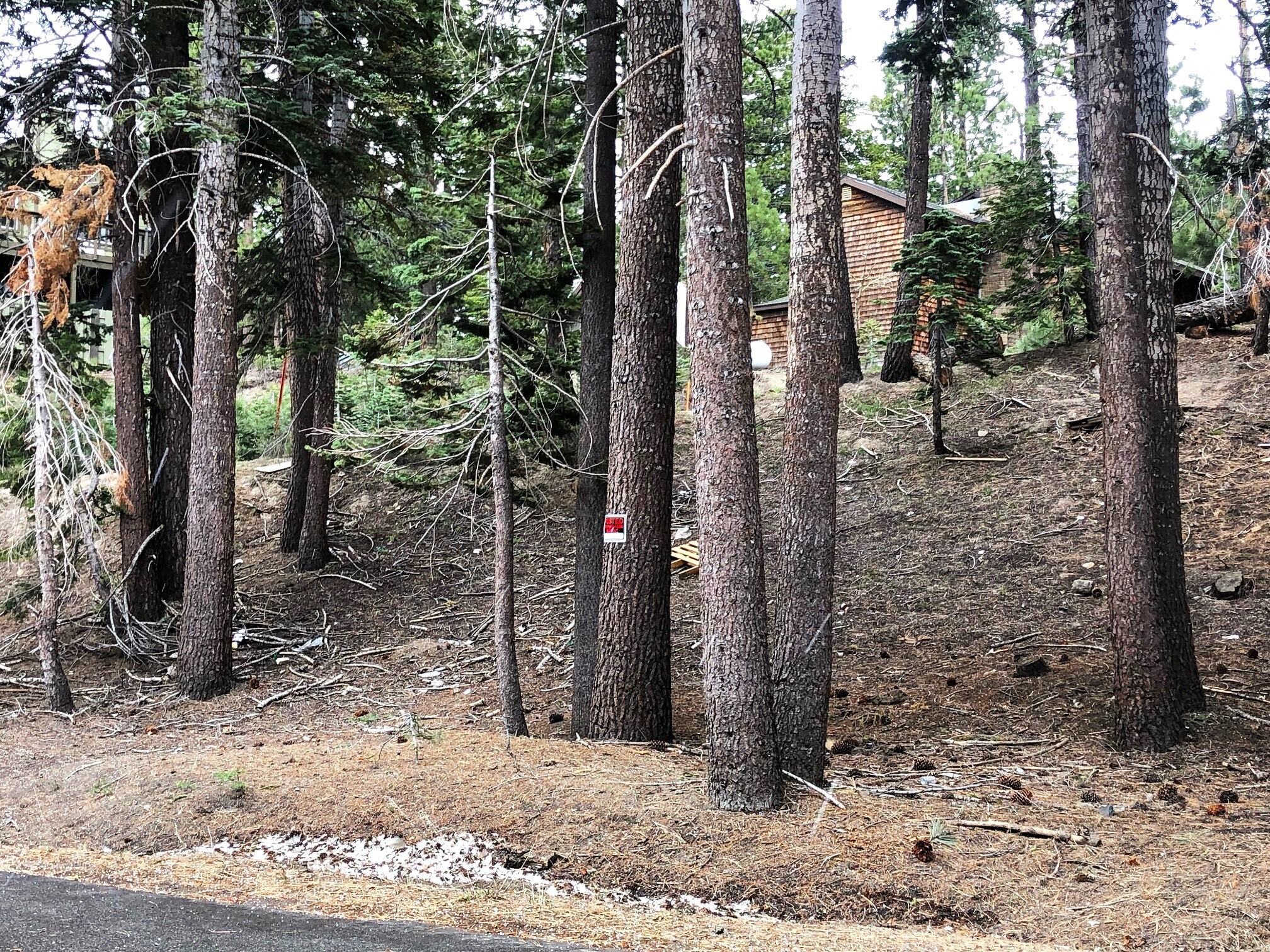 3 Berner st, Mammoth Lakes, CA for Sale