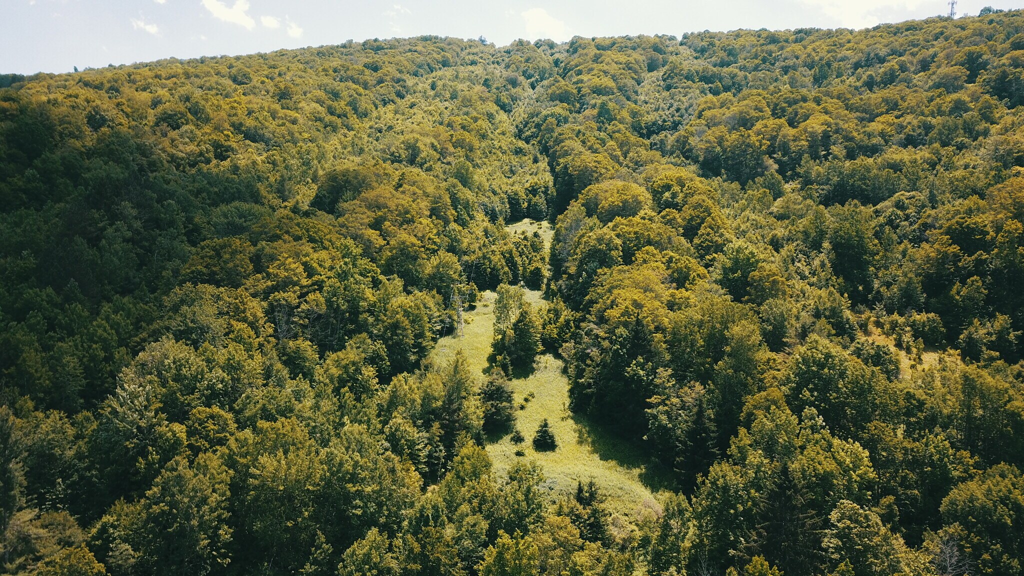 101 Galli Curci Rd, Arkville, NY for Sale