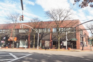 Great Neck, NY Retail - 17 Maple Dr