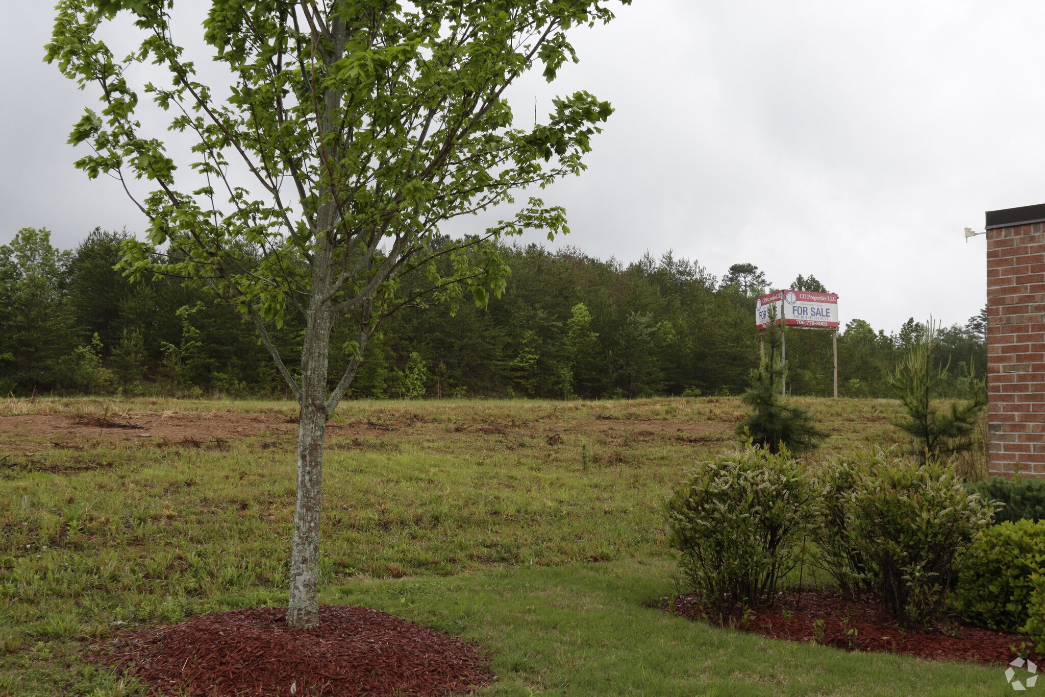 485 US Hwy 441, Cornelia, GA for Sale