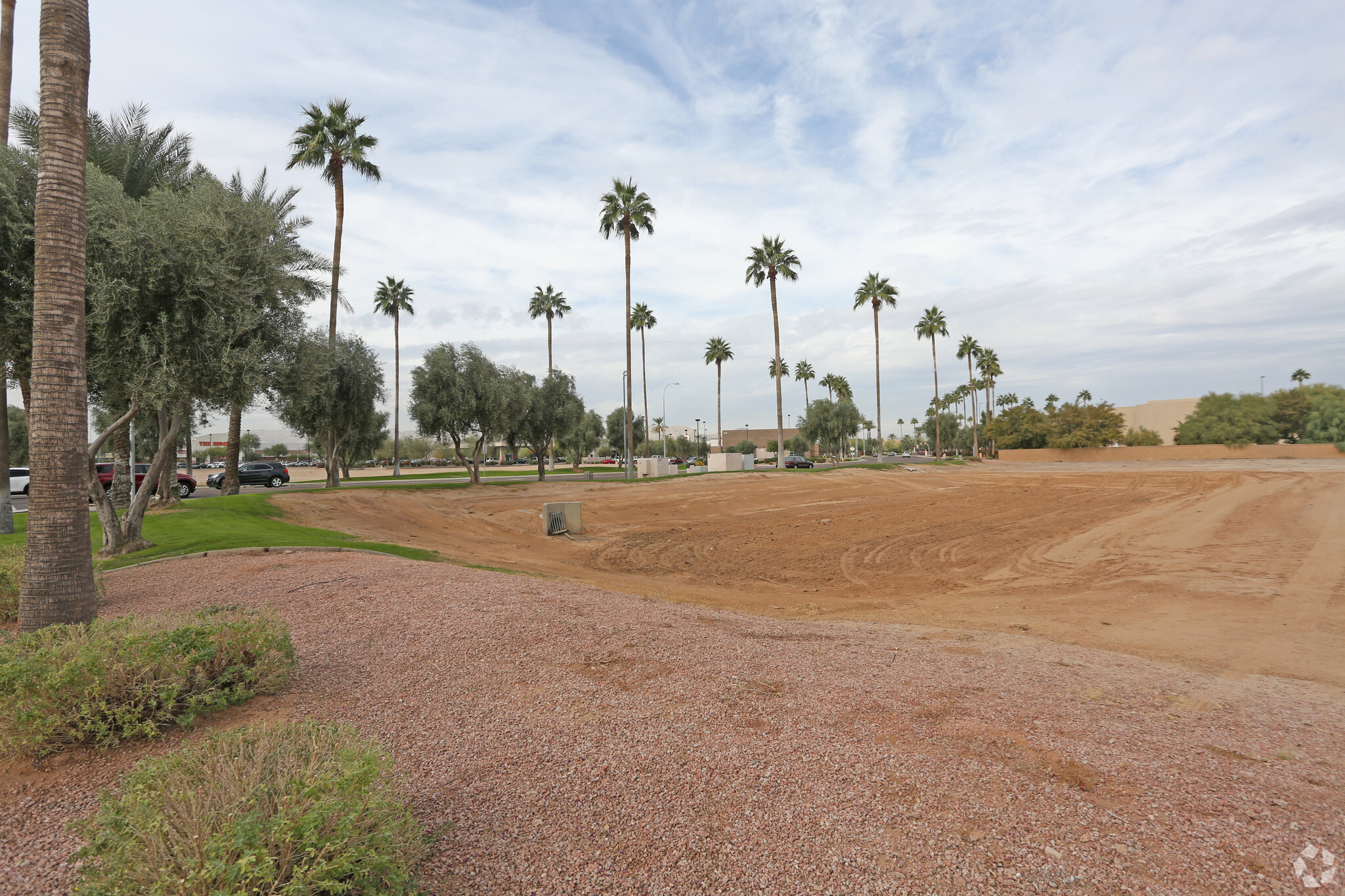 NE 54th & Galveston Rd, Chandler, AZ for Rent