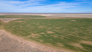 Tatum, NM Agricultural - FM 769