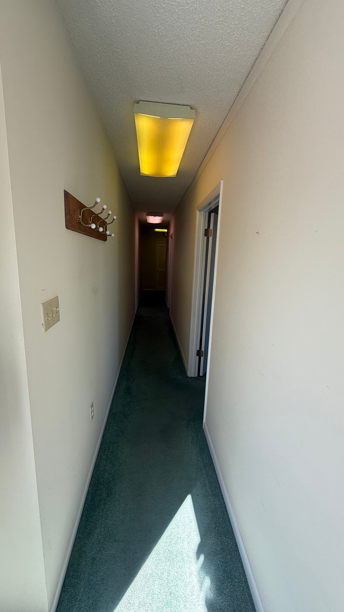 2900 Dune Dr, Avalon, NJ for Rent