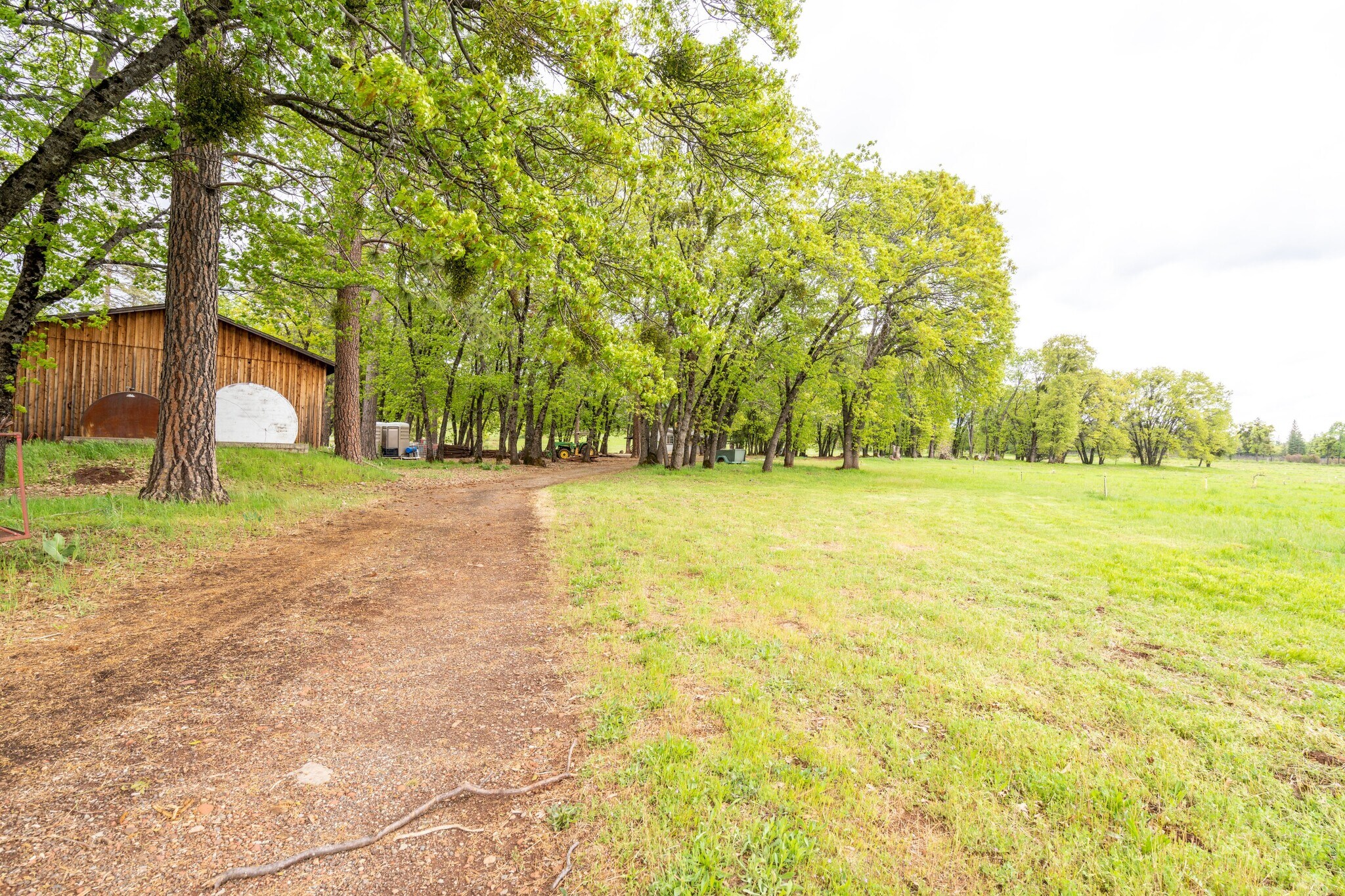 32500 Forward Rd Manton, CA 96059 Flex Property for Sale on