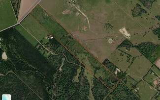 Sealy, TX Agricultural Land - 831 Stockold Rd Sealy, TX Agricultural Land - 831 Stockold Rd