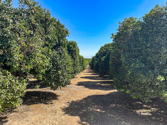Bakersfield, CA Agricultural Land - Famoso Rd.