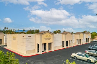 Las Vegas, NV Flex - 7265 Dean Martin Dr