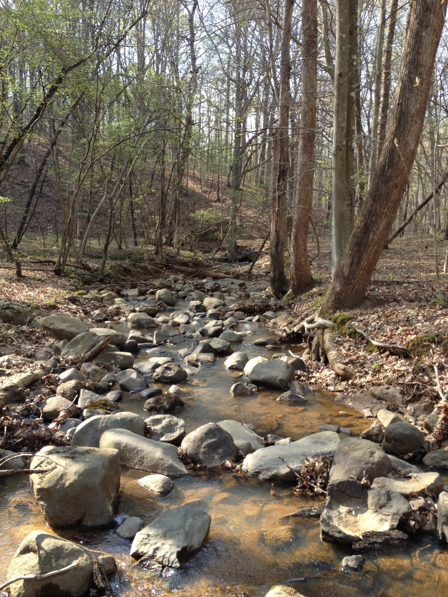 400 Eden Church rd, Madison, NC for Sale