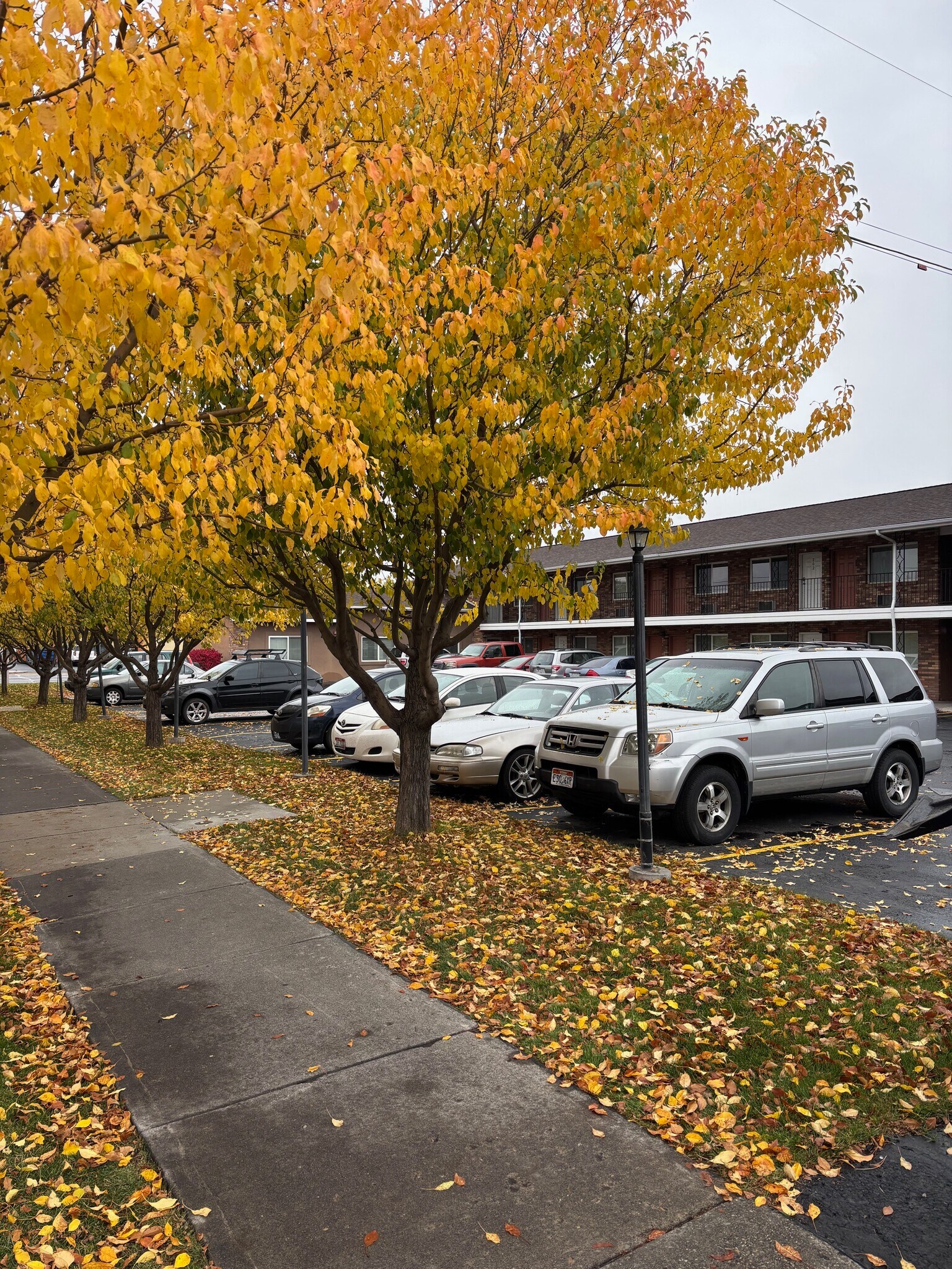 271 S 2nd W, Rexburg, ID for Sale