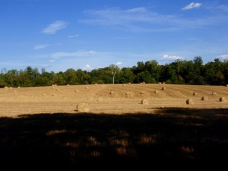 Gibsonville, NC Agricultural Land - 4290 Red Cedar Rd